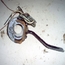 Switch, Turn Signal, 1971 Only, Used German Swf