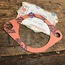 Air Intake Throttle Body, Base Gasket, 75-79, Nos German Elring