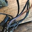 Wire Harness Connectors, 2 Speed Wiper Switch,1967, Used German 5 Pc.